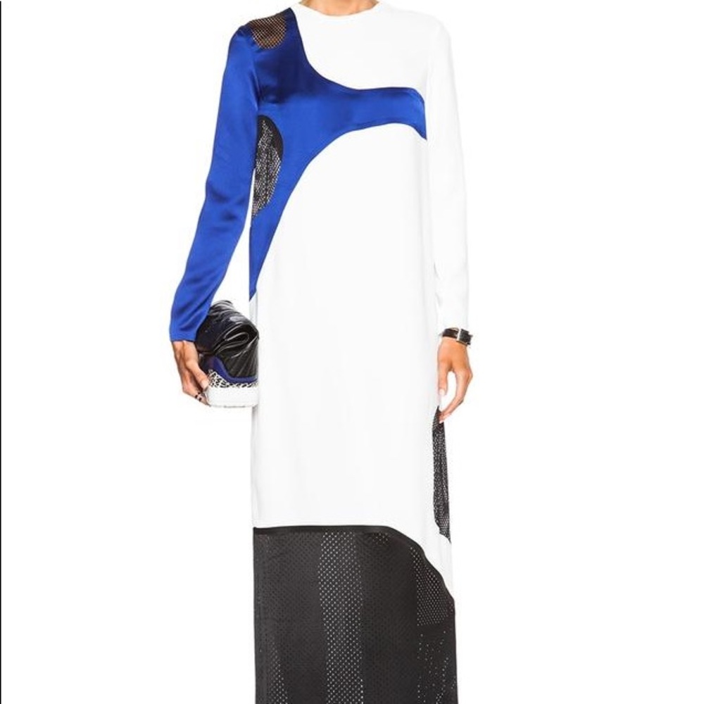NWOT Alexander wang Gown